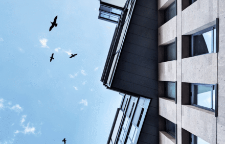 A Bird’s Point Of View: Explore the luxury rooftops of New York